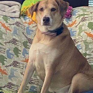 Meet your Posher, Zoraida